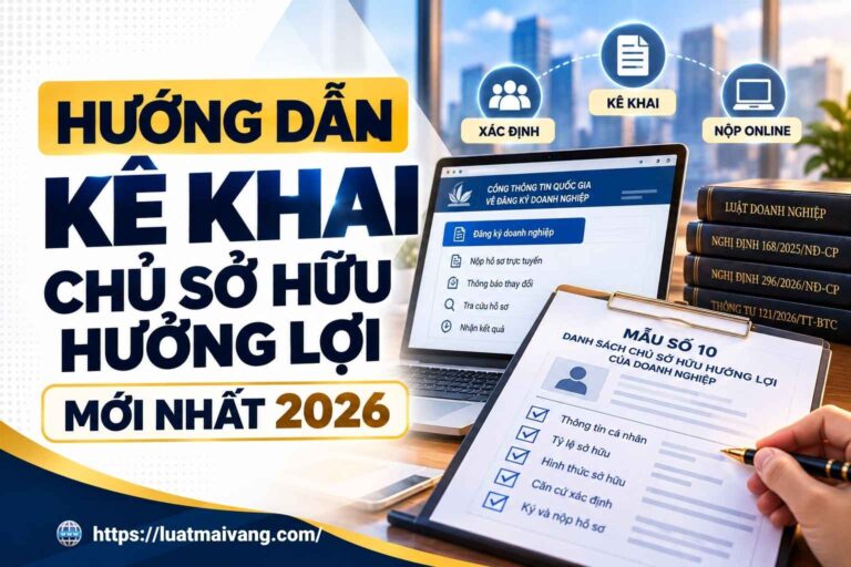 Hướng dẫn kê khai chủ sở hữu hưởng lợi